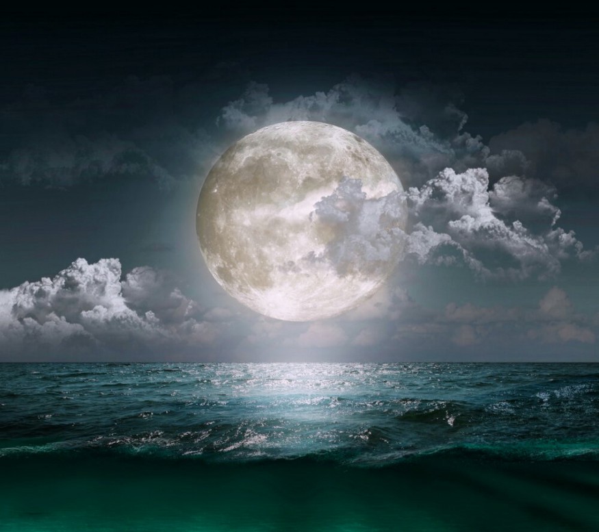 Full Moon at Night over the Sea - 8 Moon Phases in Tarot by Tilly Tarot